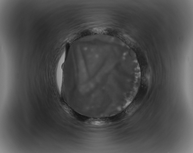 X0000085270658200703301855