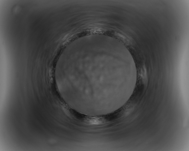 X0000085270663200703301855