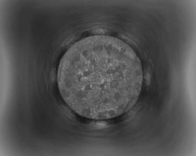 X0000085270665200703301855