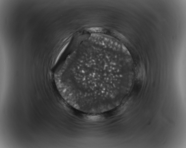 X0000085270669200703301855