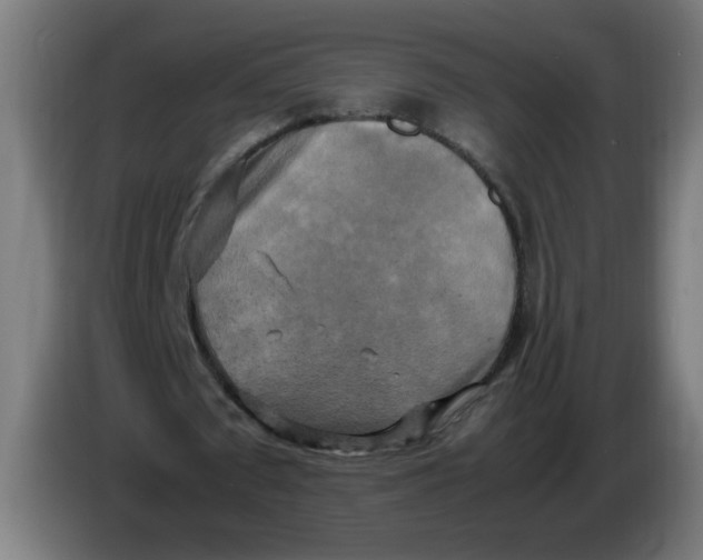 X0000085270673200703301855