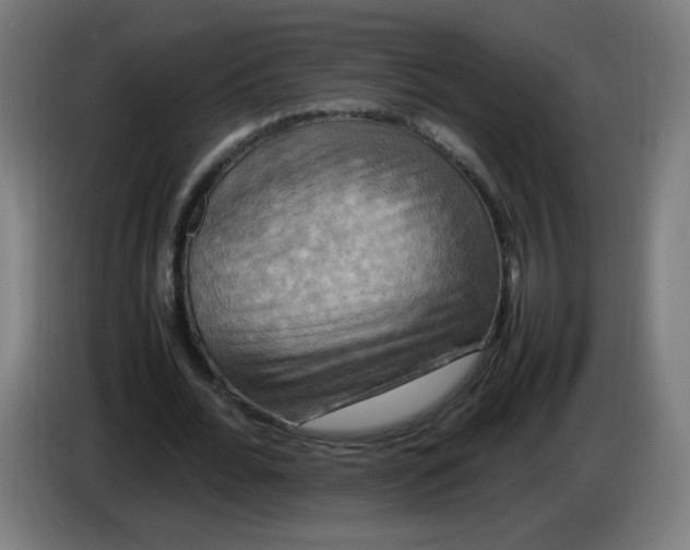 X0000085270676200703301855