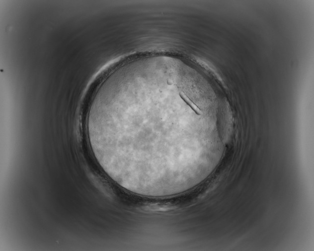 X0000085270680200703301855