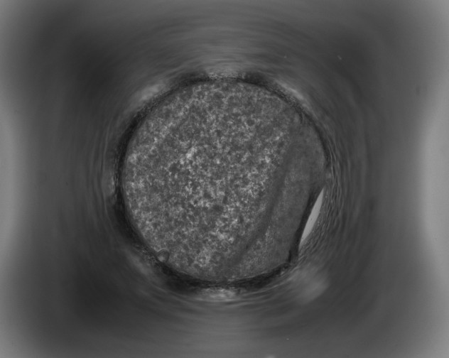 X0000085270687200703301855