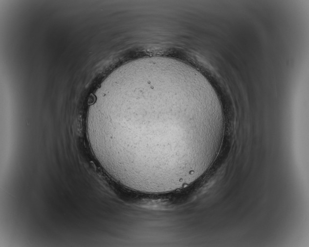 X0000085270689200703301854