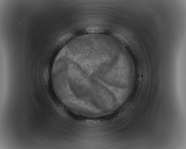 X0000085270690200703301854