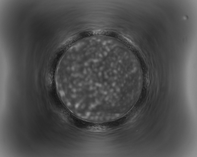 X0000085270691200703301854