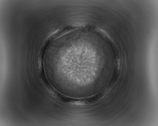 X0000085270692200703301854