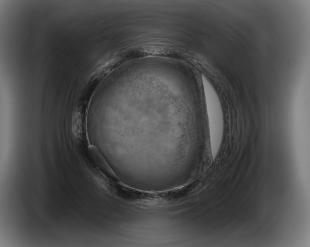 X0000085270696200703301854