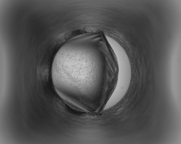 X0000085270697200703301854