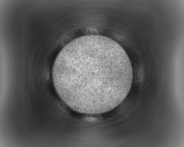 X0000085270706200703301854