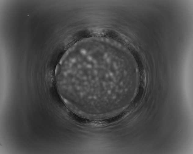 X0000085270707200703301854