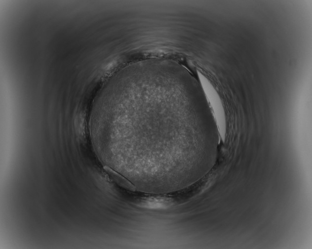 X0000085270708200703301854