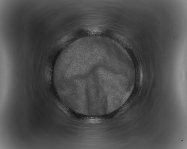 X0000085270710200703301854