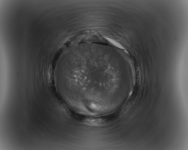 X0000085270712200703301854