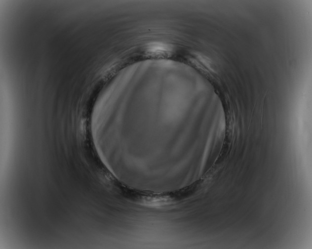 X0000085270716200703301854