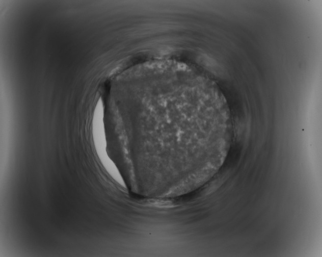 X0000085270719200703301854