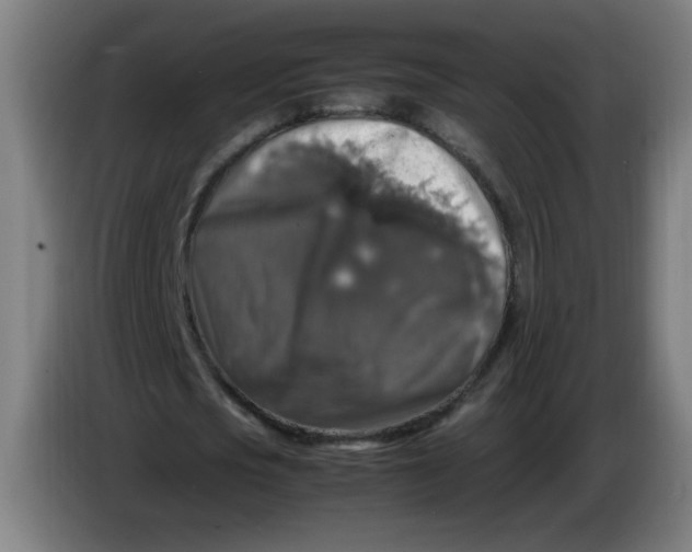 X0000085270721200703301853