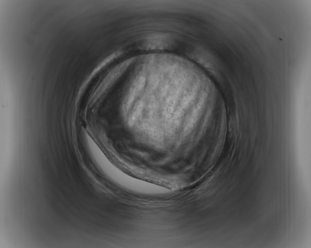 X0000085270722200703301853