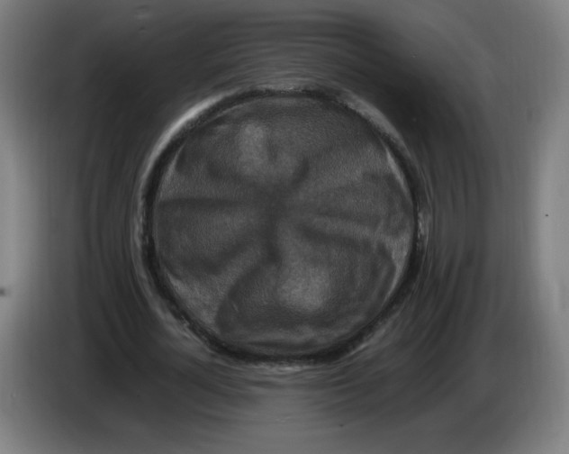 X0000085270724200703301853