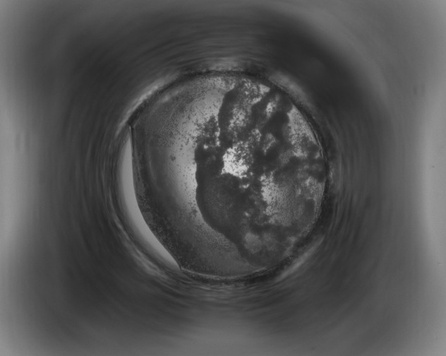 X0000085270725200703301853