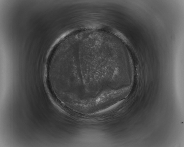 X0000085270726200703301853