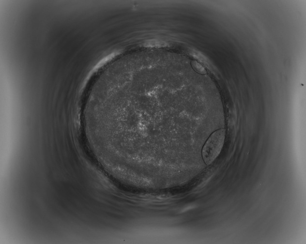 X0000085270727200703301853