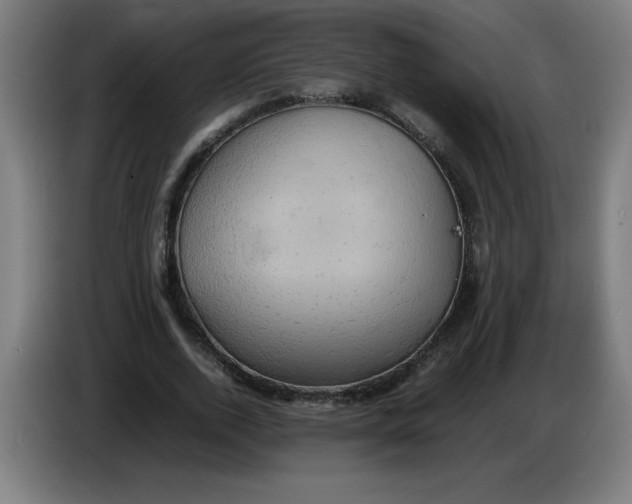 X0000085270728200703301853