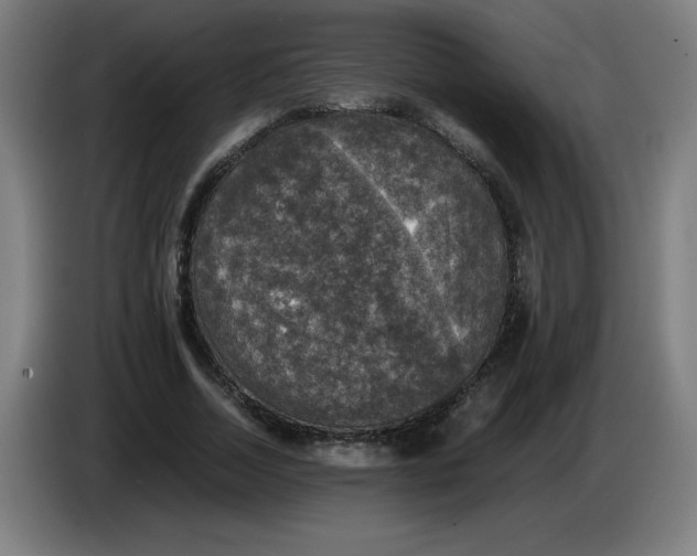 X0000085270730200703301854