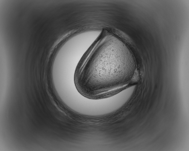 X0000085270732200703301854