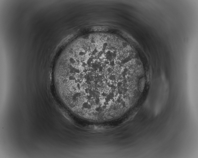 X0000085270733200703301854