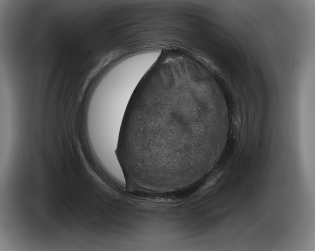 X0000085270734200703301854