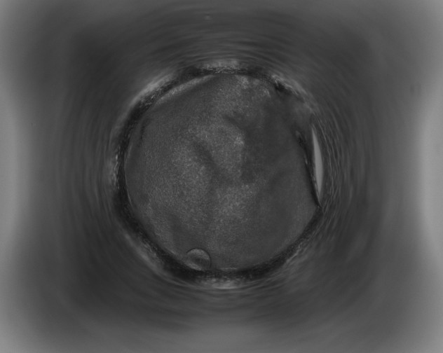 X0000085270735200703301854