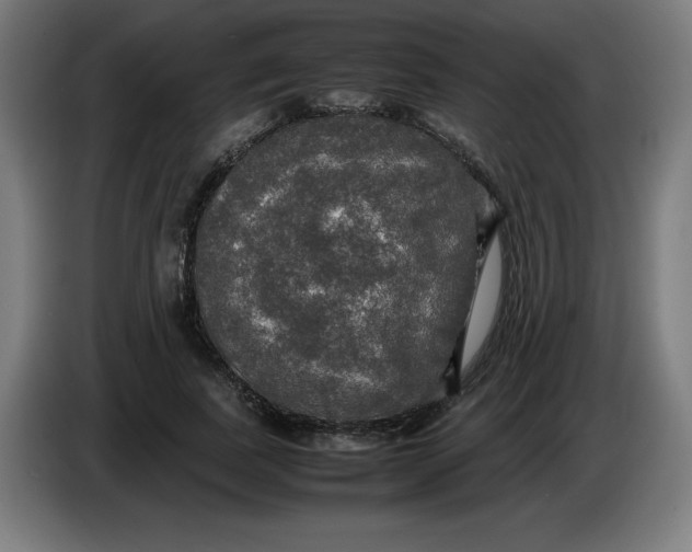 X0000085270739200703301854