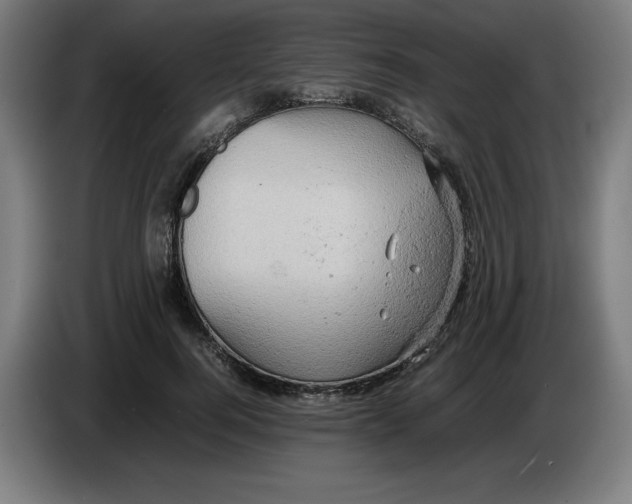 X0000085270744200703301854