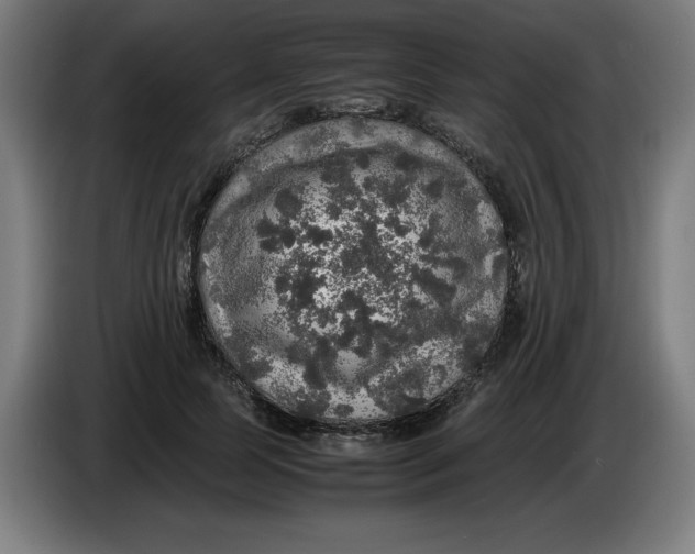 X0000085270745200703301854