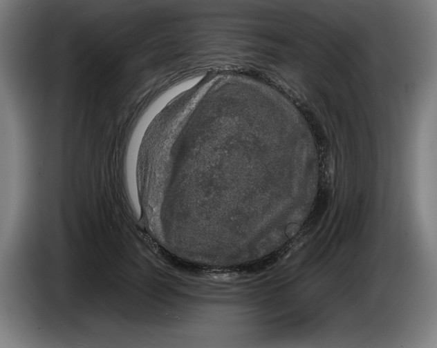 X0000085270746200703301854