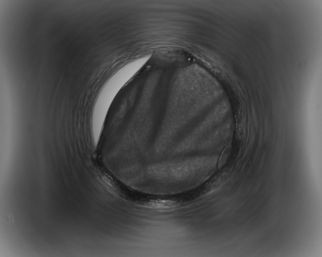 X0000085270748200703301854