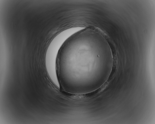 X0000085270762200703301854