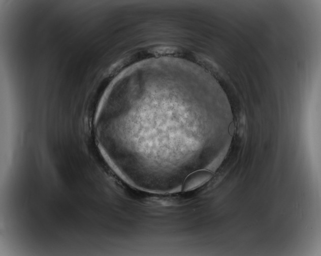 X0000085270763200703301854