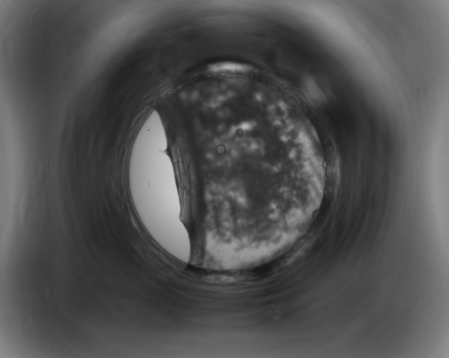 X0000085270765200703301854