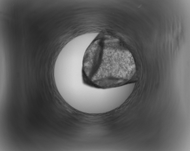 X0000085270768200703301854