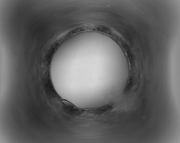 X0000085270773200703301853