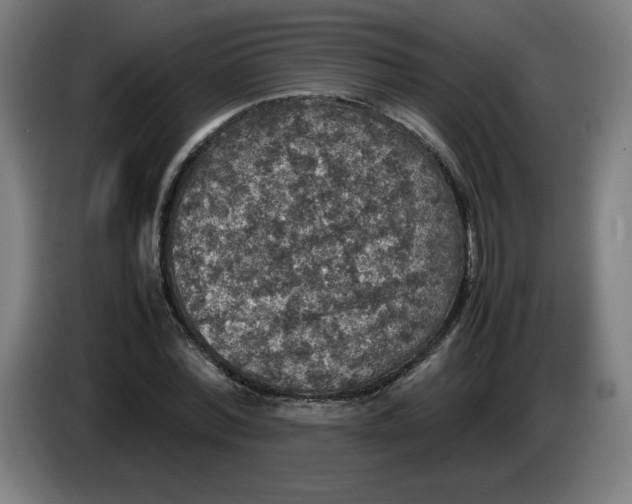 X0000085270780200703301853