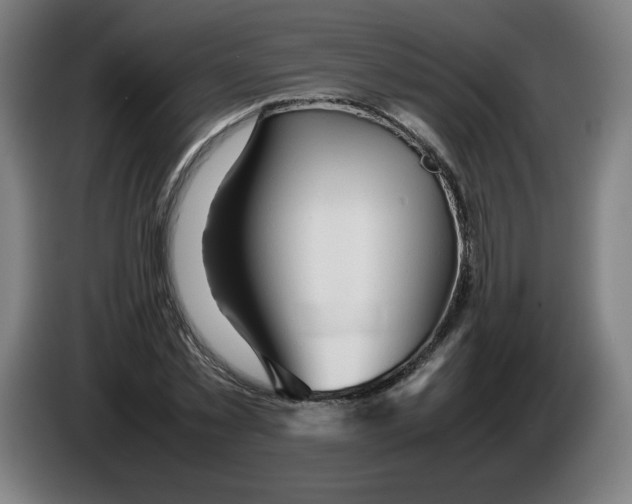 X0000085270781200703301853