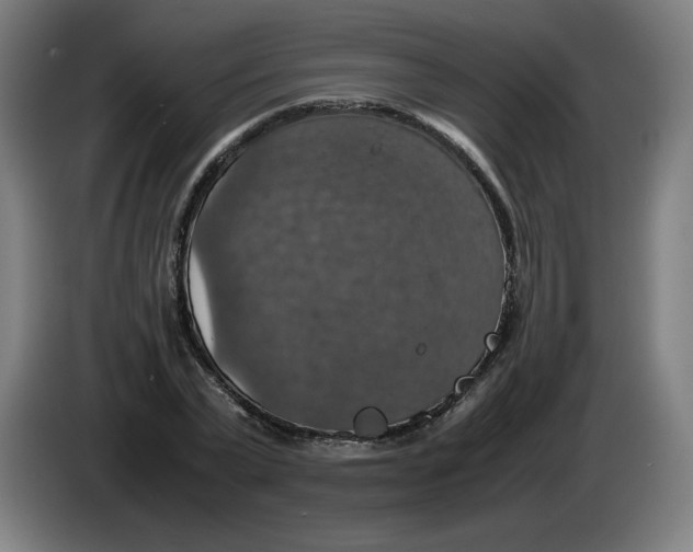 X0000085270783200703301853