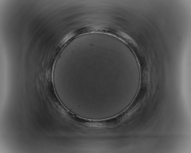 X0000085270785200703301853