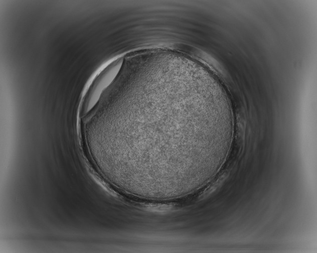 X0000085270788200703301853