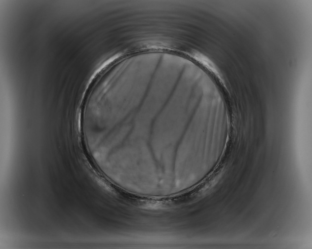 X0000085270790200703301853