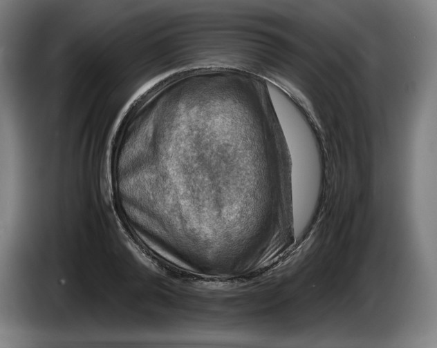 X0000085270792200703301853